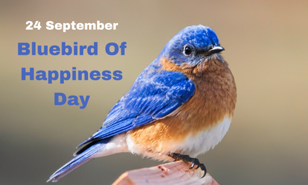 bluebird of happiness day