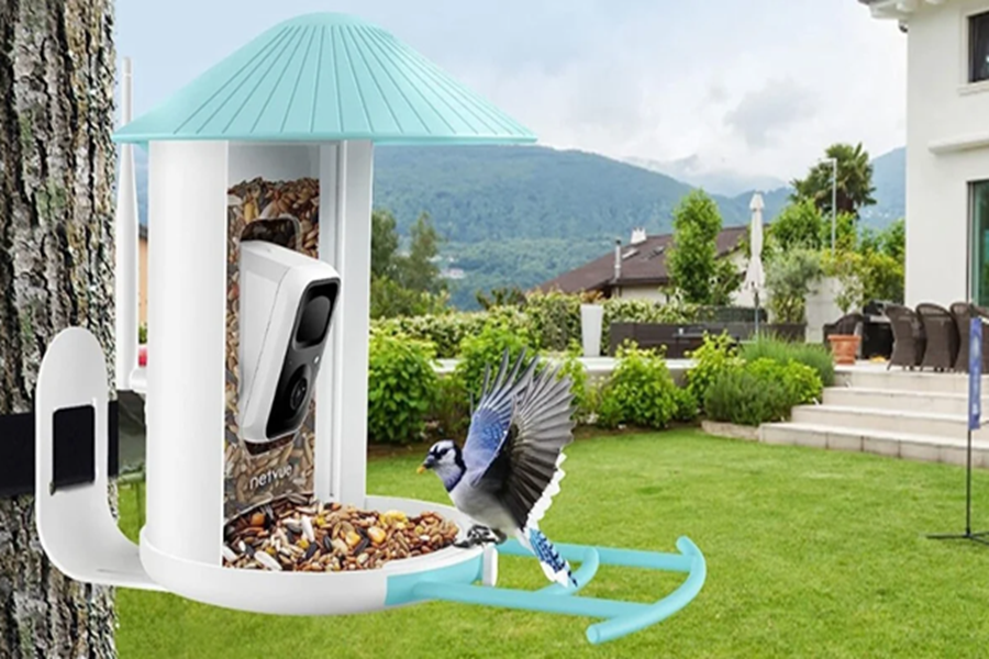 What Is A Smart Bird Feeder? A Guide To Modern Birdwatching