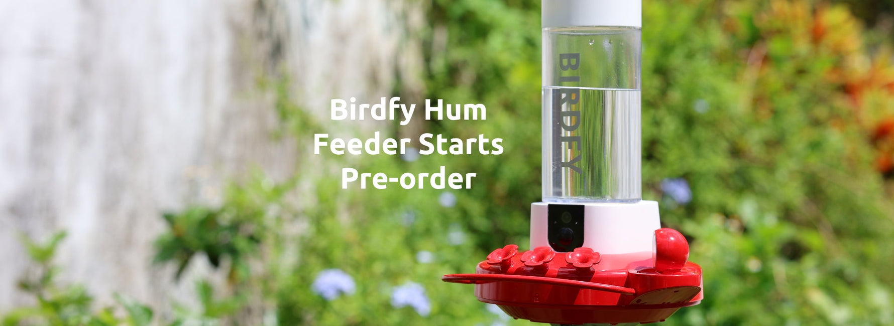 Netvue Unveils Birdfy Hum Feeder: The Revolutionary Dual-Camera Hummingbird Feeder for the Modern Birdwatcher