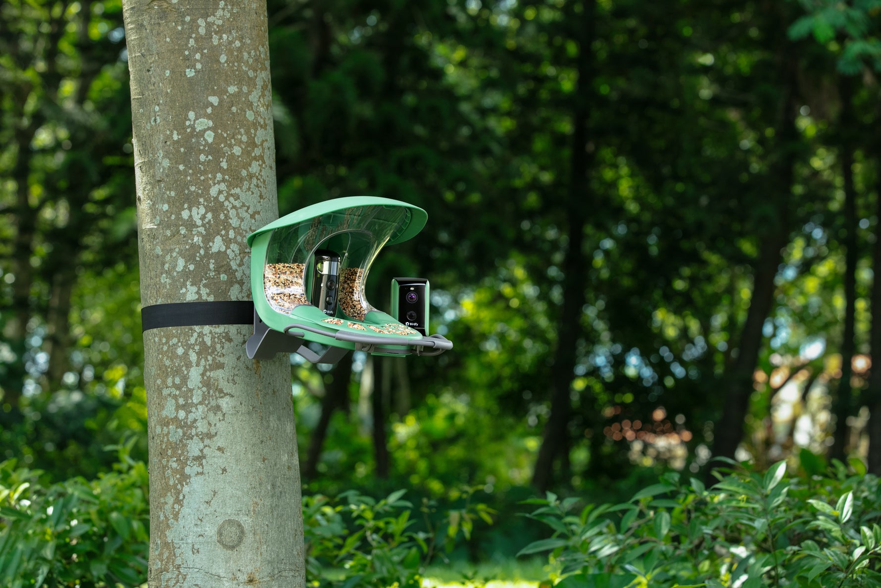 Top 5 Best Bird Feeders In 2025 – An All-Rounded Overview