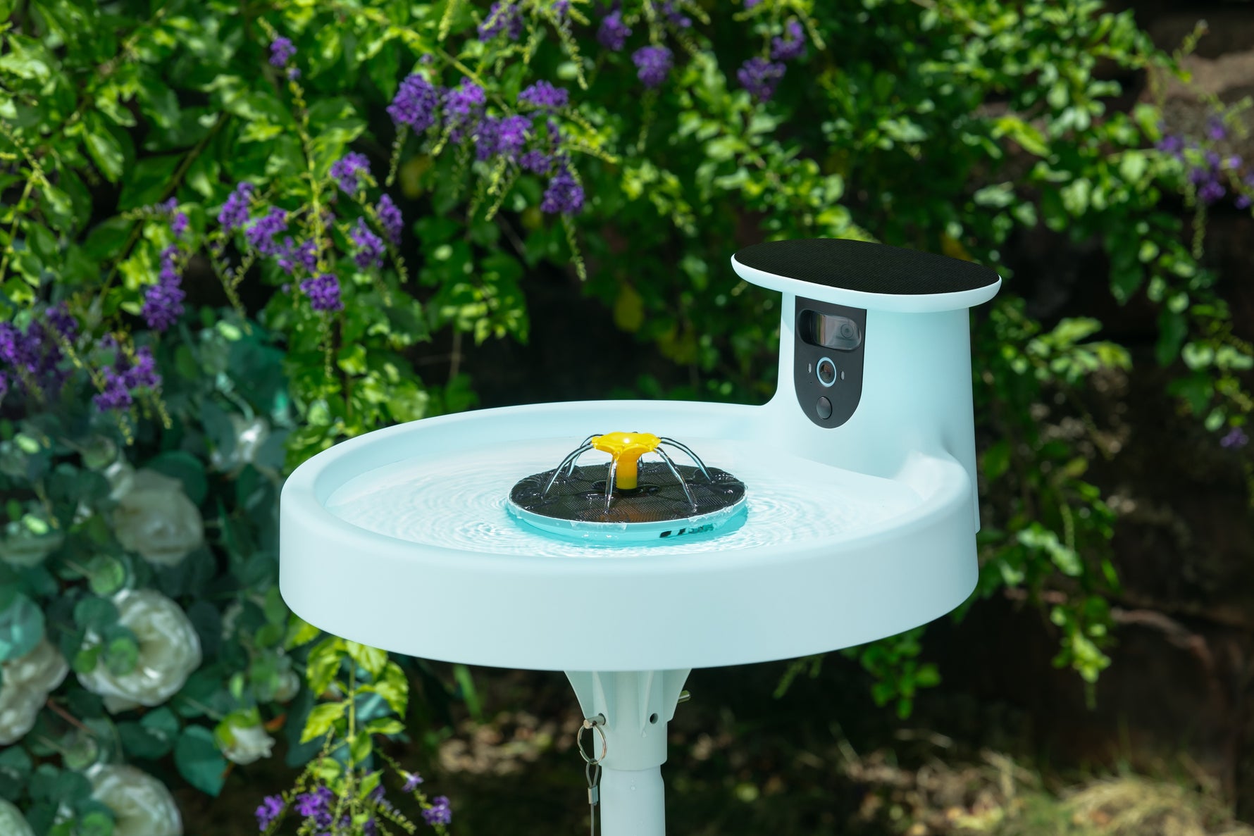 Birdfy Unveils Two Exciting New Products on YouTube Live, Enhancing the Smart Bird Feeder Series