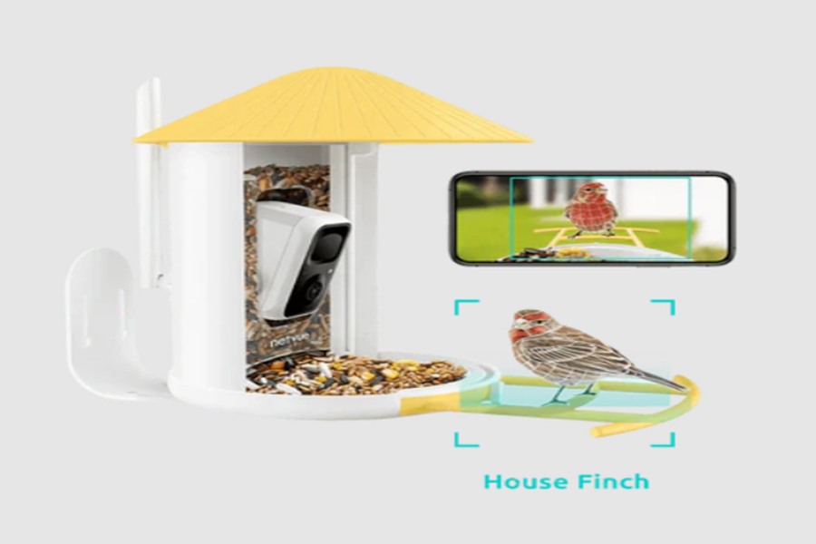 What Is The Best AI Video Bird Feeder?