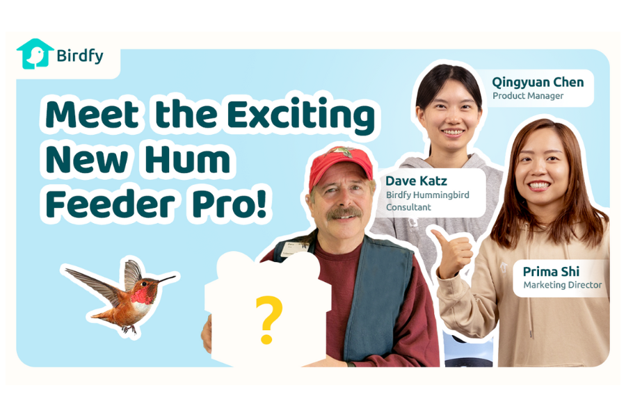 Birdfy's Livestream from Las Vegas - Birdfy Hum Feeder Pro Launch & Special Guest Dave Katz