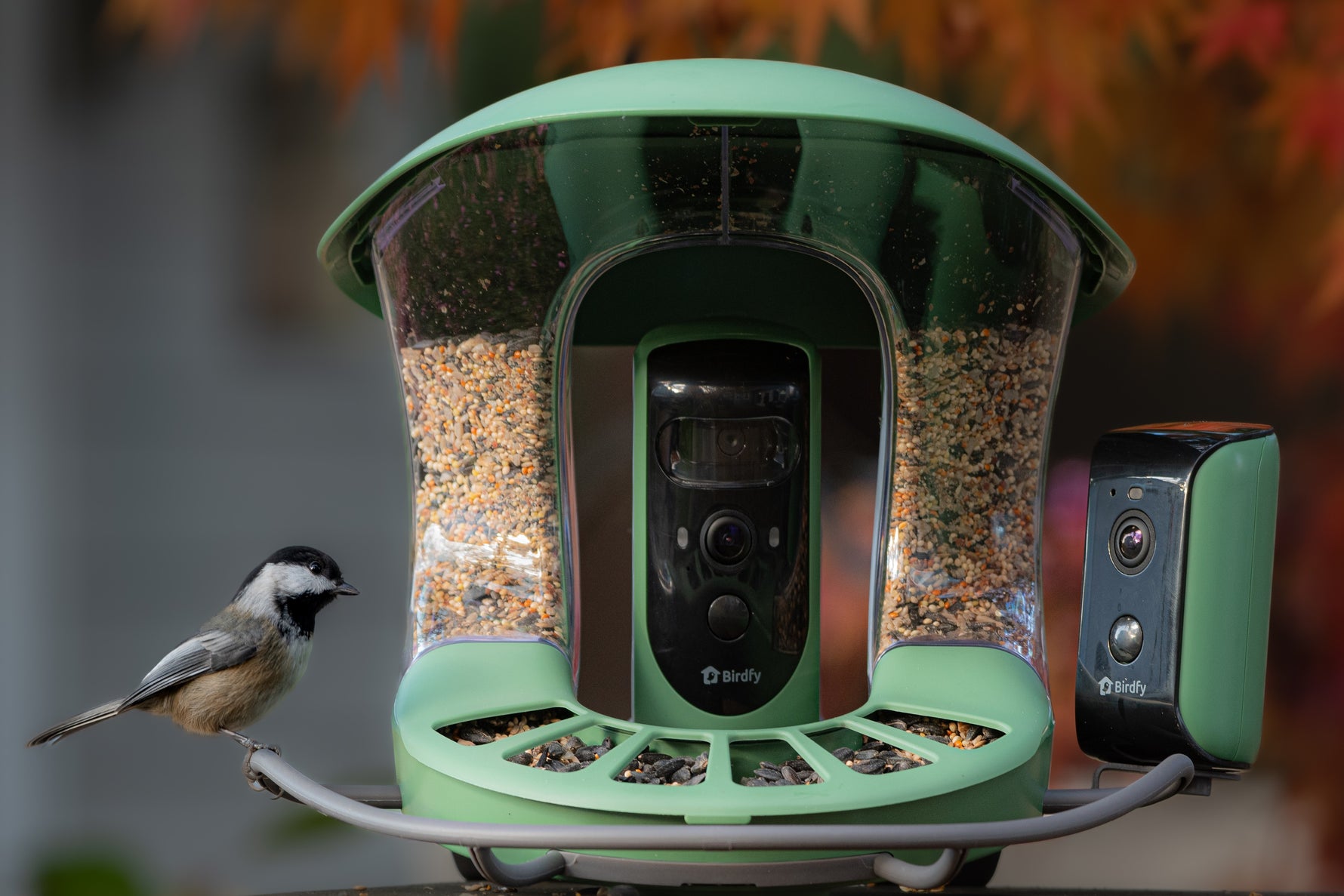 Birdfy to Showcase Innovative Smart Bird Feeders at CES 2025