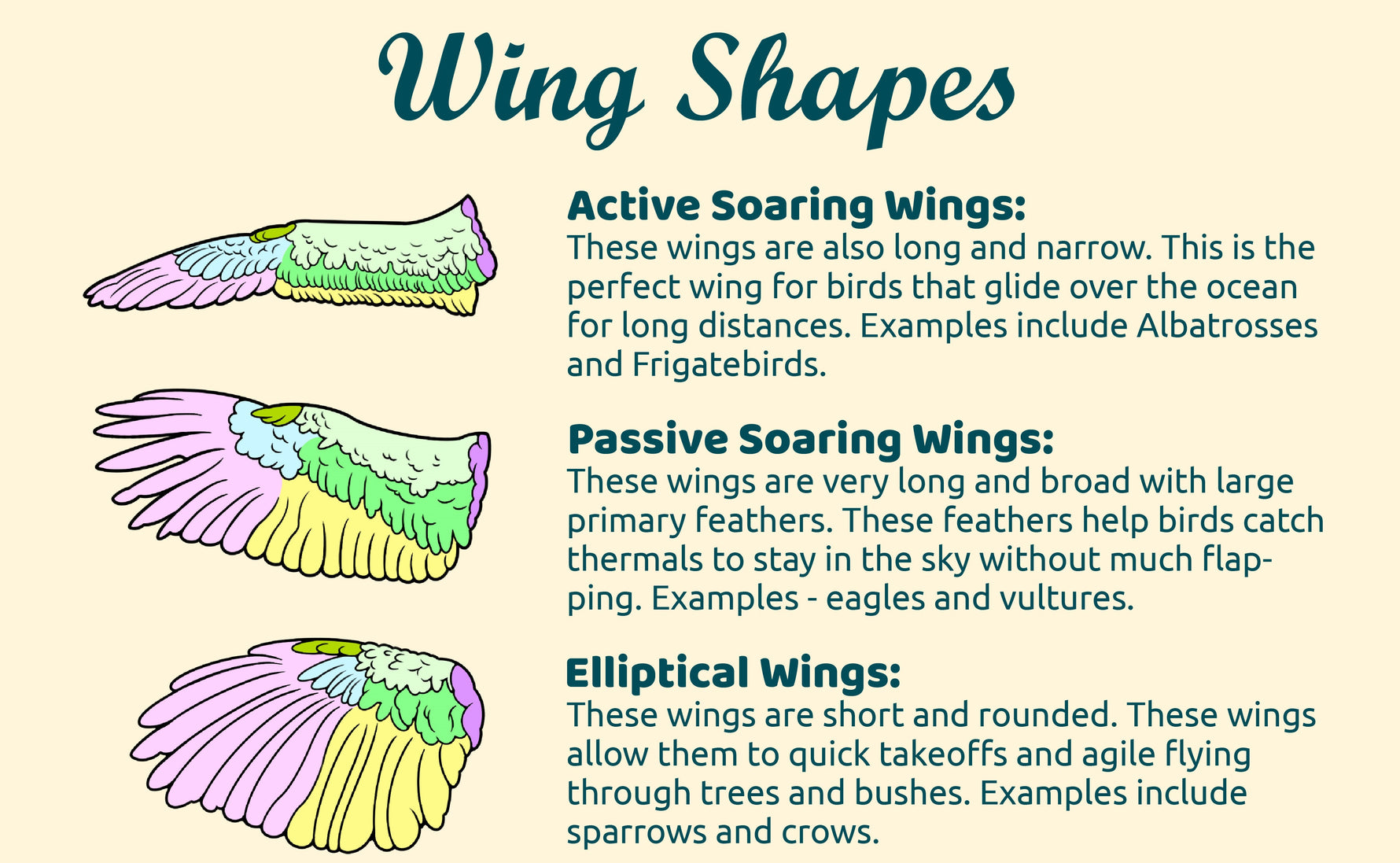 wing shapes