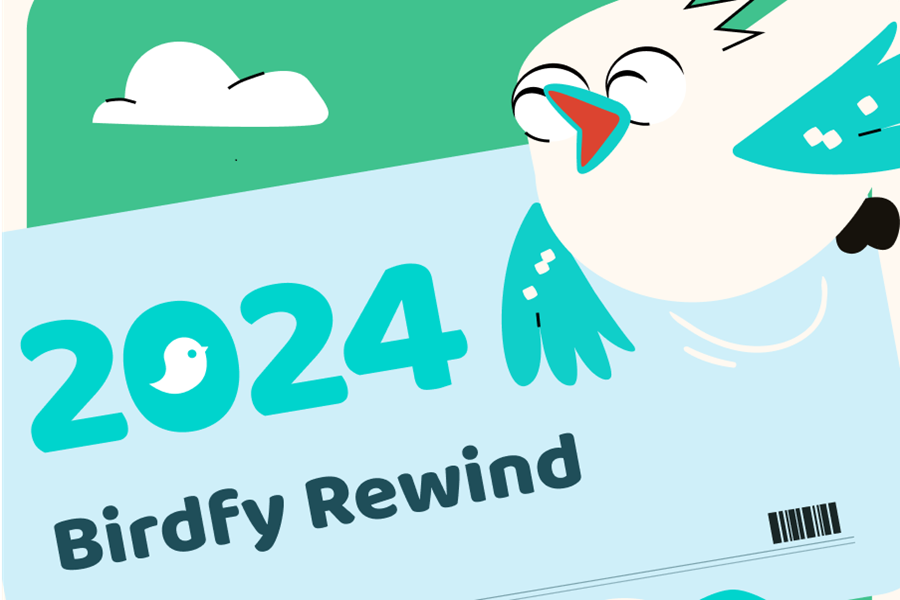 Birdwatching Year in Review 2024 - Your Birdfy Rewind 2024 is Here!