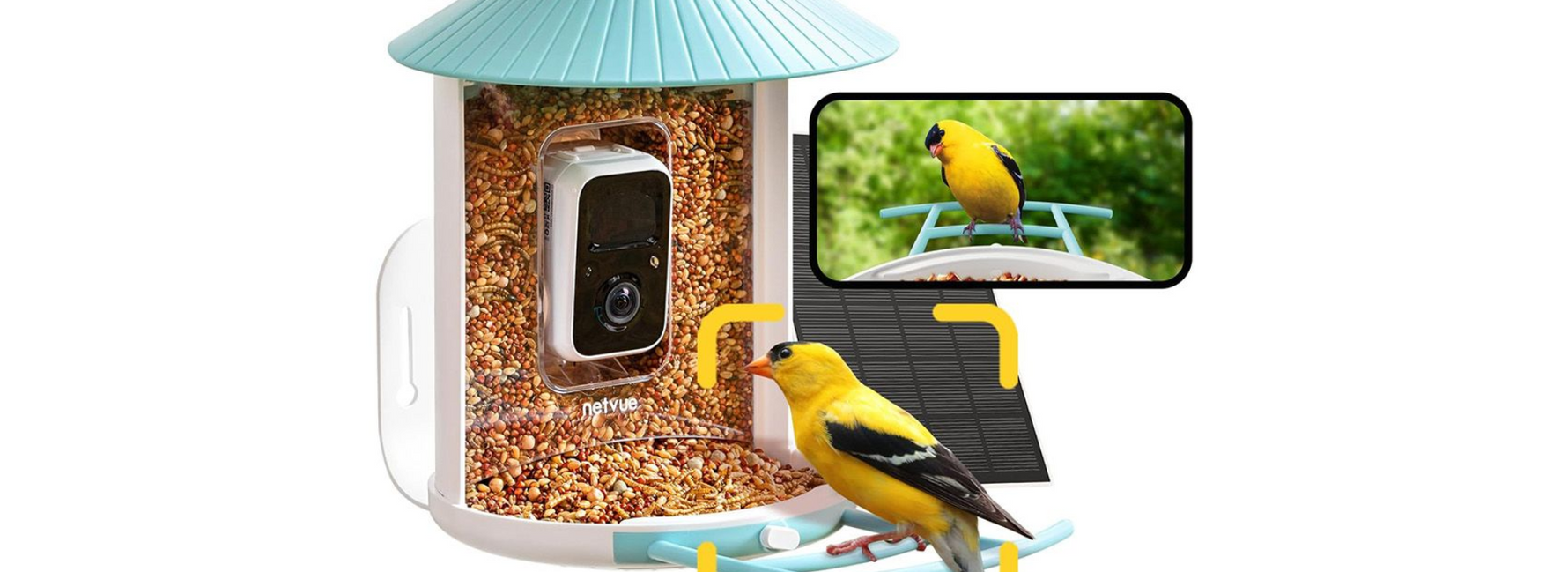 Best Bird Feeder with Camera