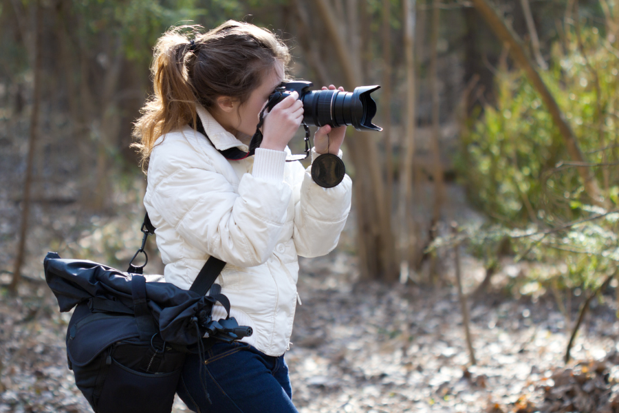 Beginner Bird Photography Tips: What Camera Setting Is Best For Birds?