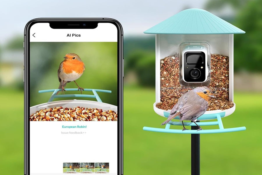 Where Is The Best Place To Put A Smart Bird Feeder?