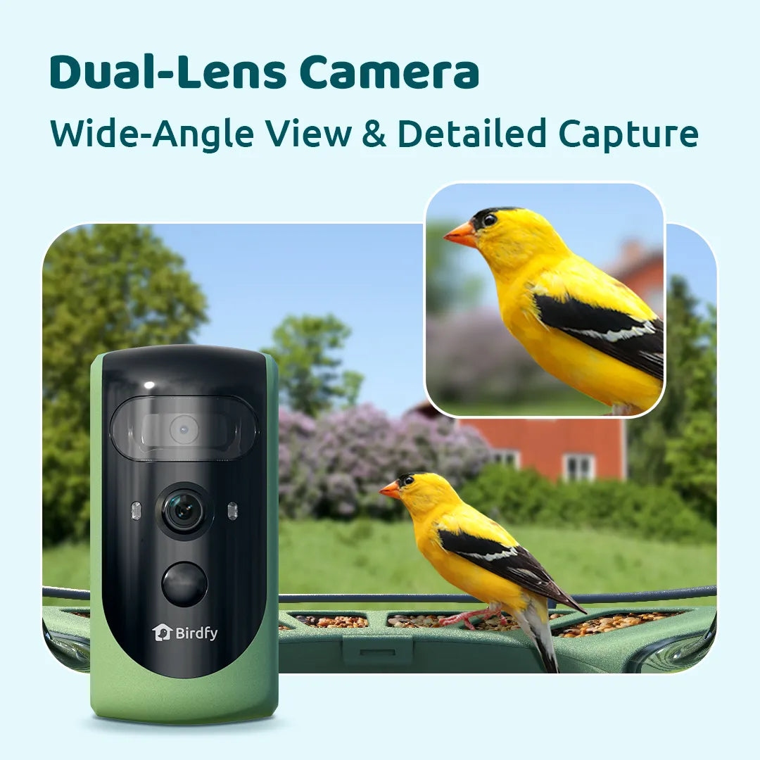 [Preorder] Birdfy Feeder 2 Pro - Bird Feeder Camera