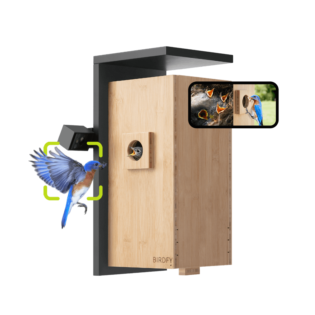 Birdfy Nest - Smart Bird House with Dual Cameras