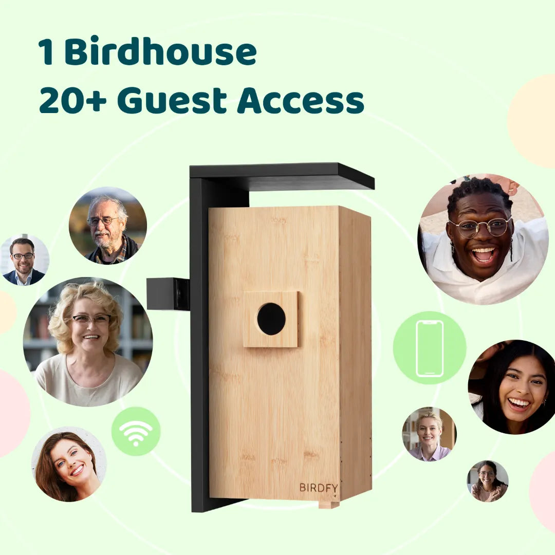 Birdfy Nest - Smart Bird House with Dual Cameras