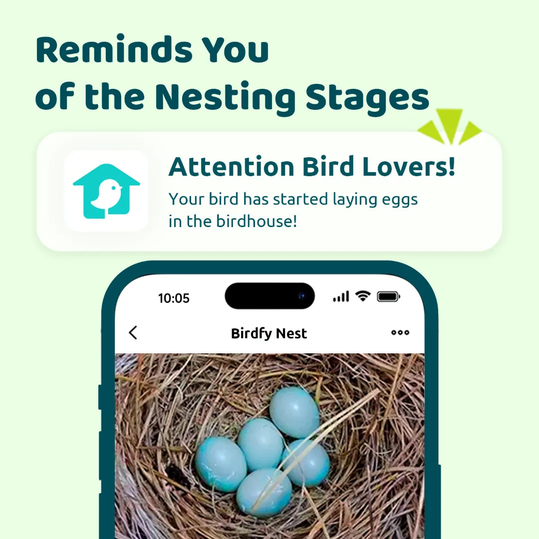 Birdfy Nest - Smart Bird House with Dual Cameras