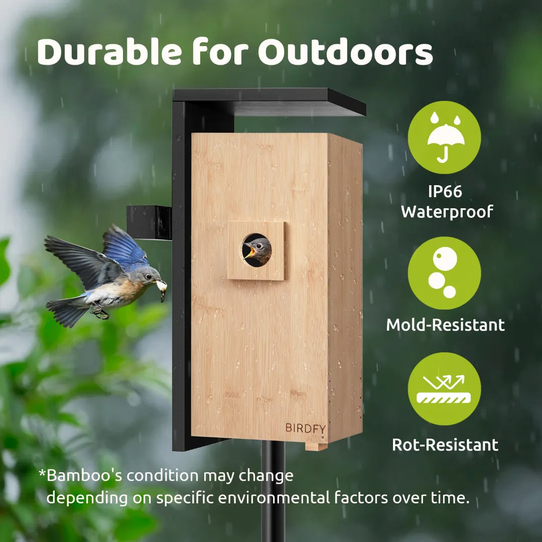 Birdfy Nest - Smart Bird House with Dual Cameras