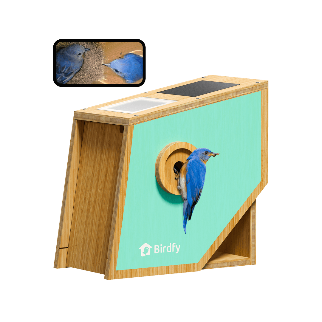 Birdfy Nest Polygon - Smart Birdhouse with Camera