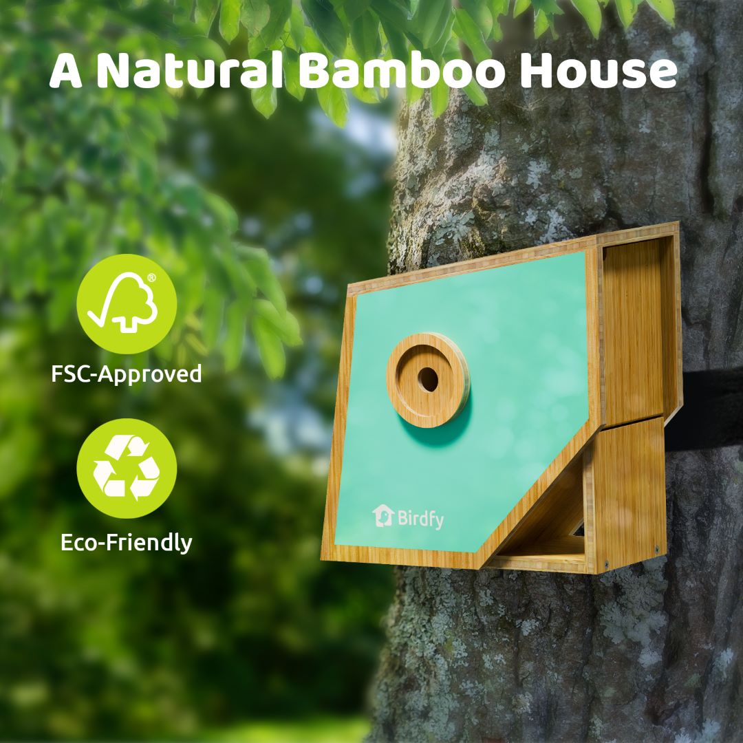 Birdfy Nest Polygon - Smart Birdhouse with Camera