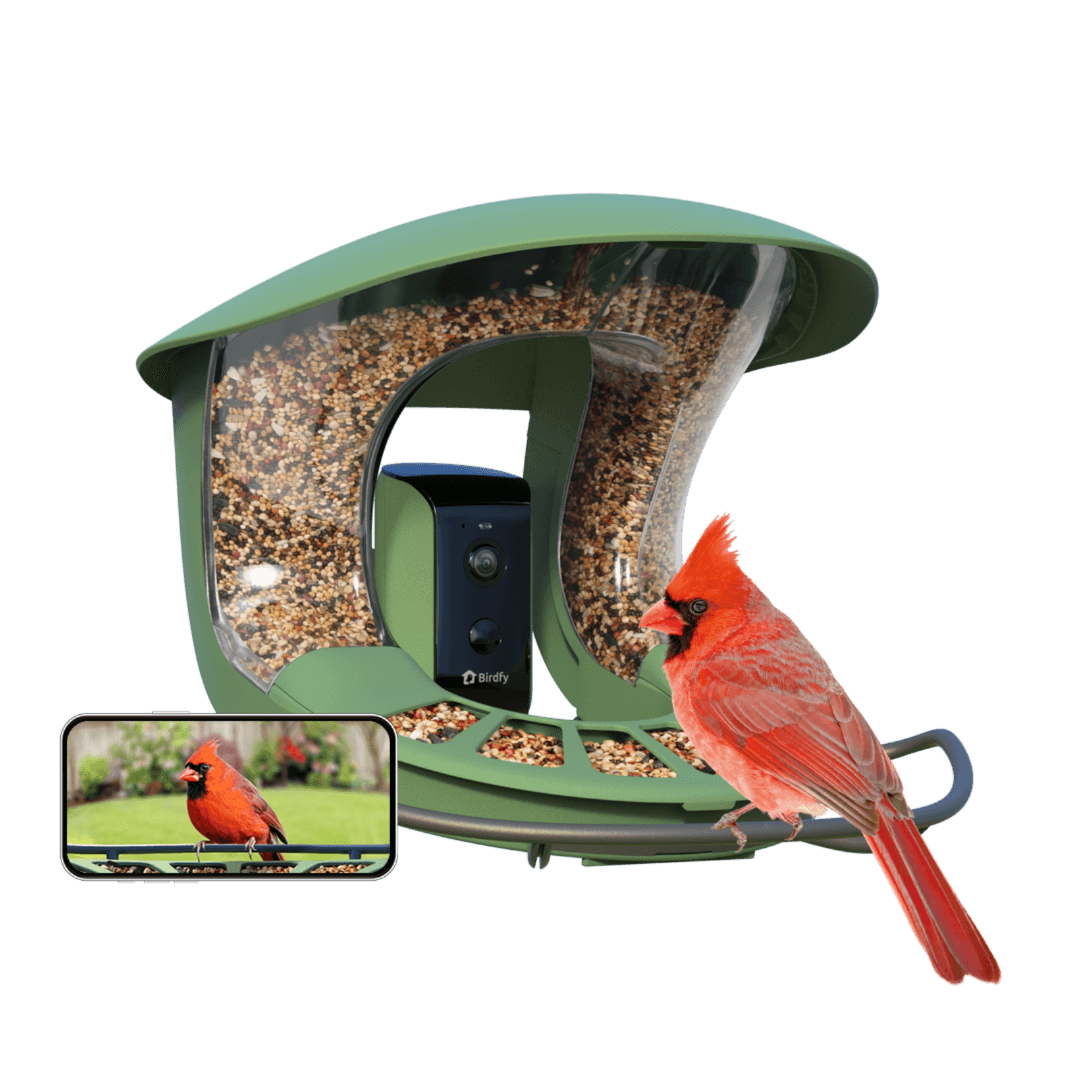 Birdfy Feeder 2 - Smart Bird Feeder