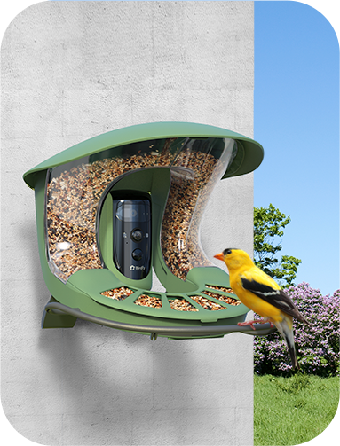 Birdfy_Feeder2_Pro