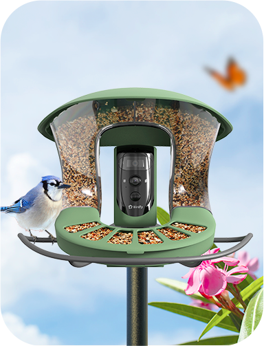 Birdfy_Feeder2_Pro