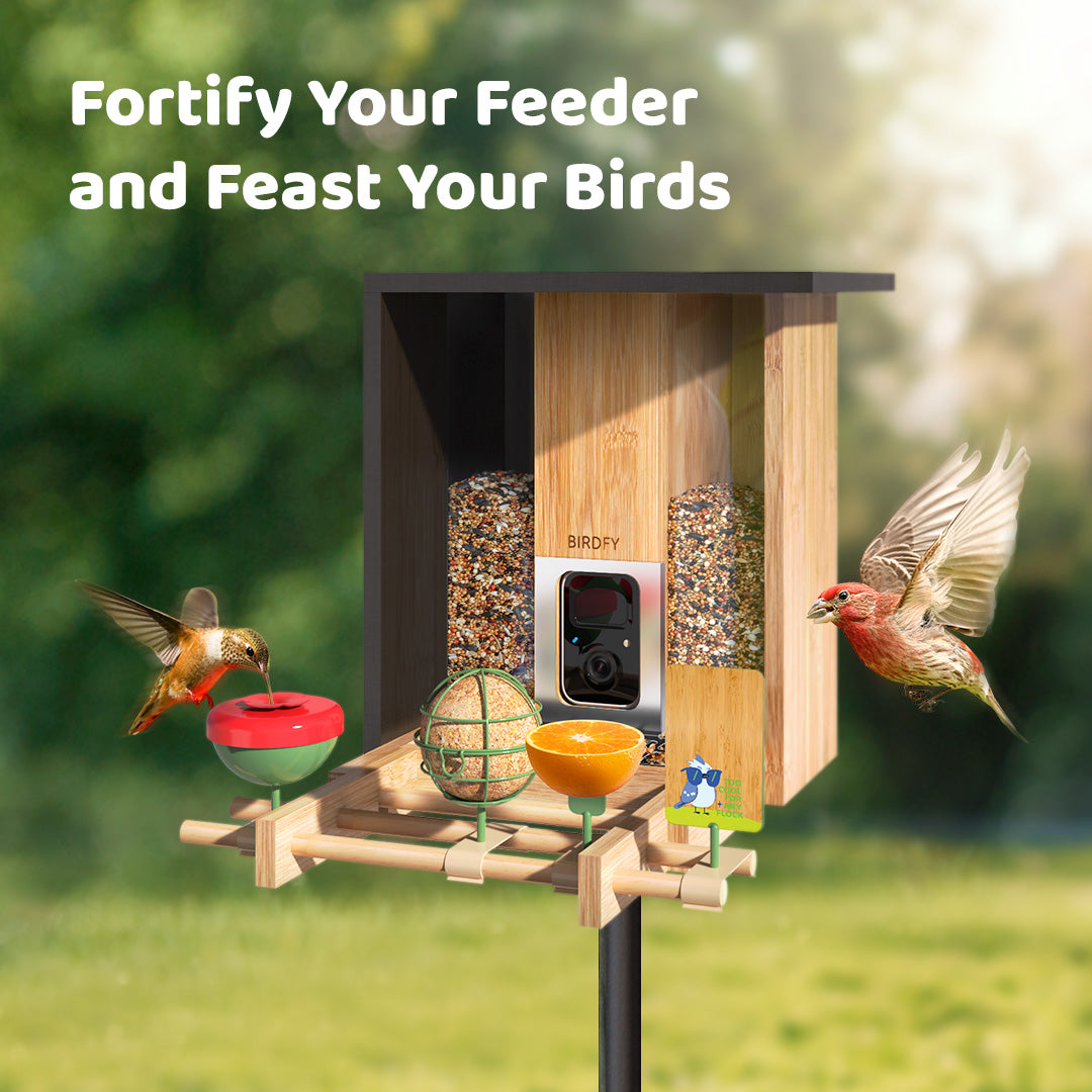 Metal Seed Guard & Add-Ons for Birdfy Feeder Bamboo