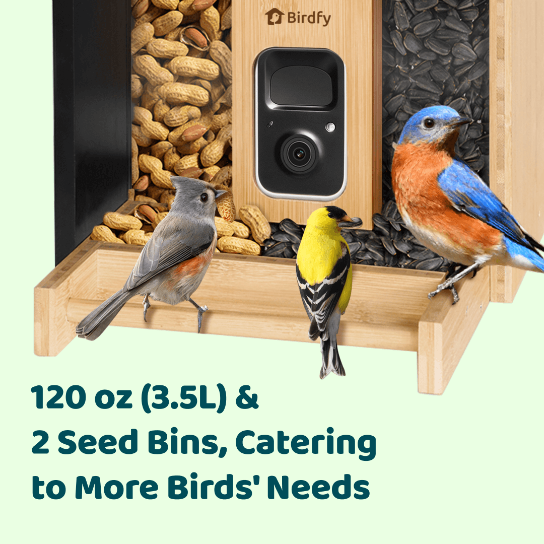 Birdfy Feeder Bamboo - Smart Bird Feeder with Eco-friendly Material