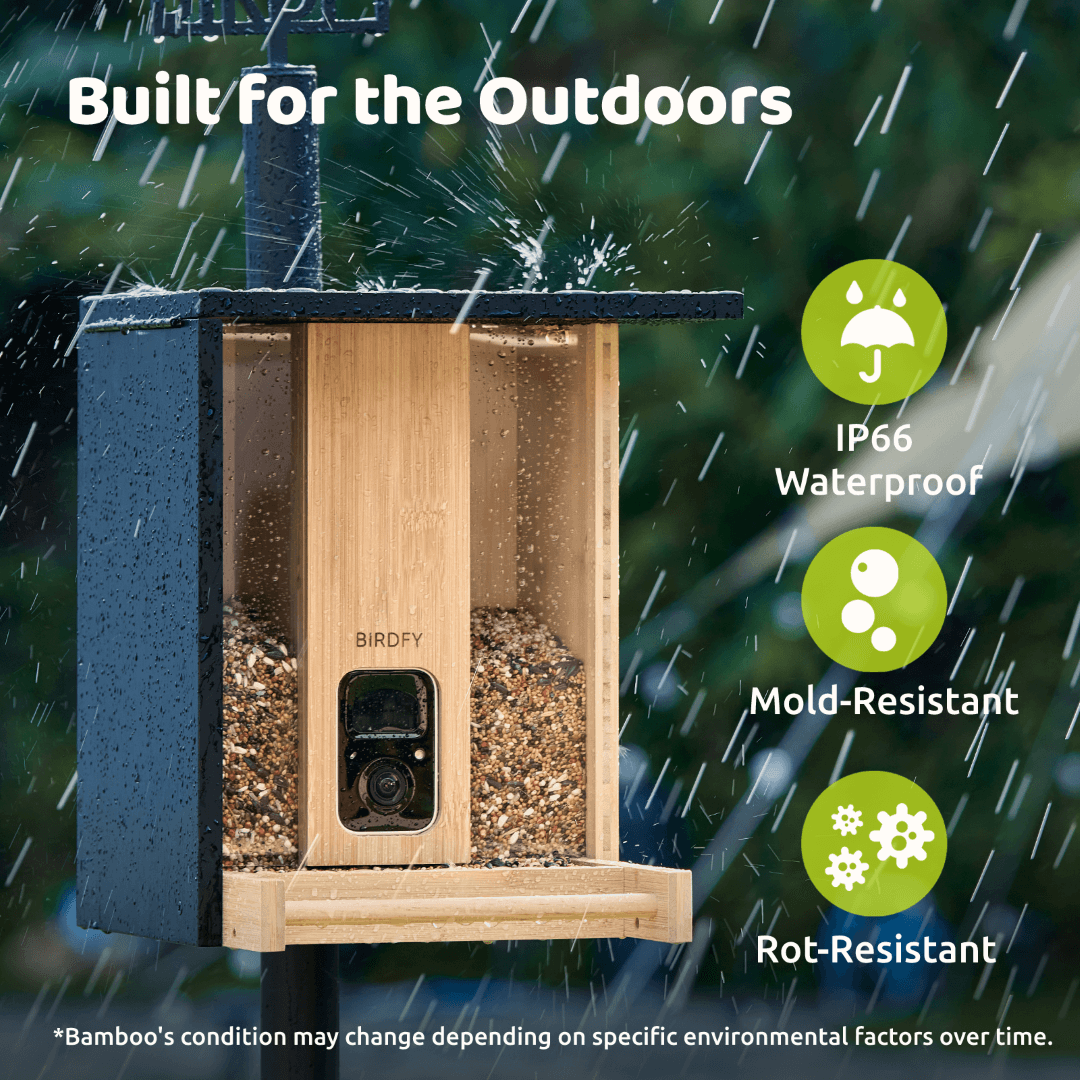 Birdfy Feeder Bamboo - Smart Bird Feeder with Eco-friendly Material