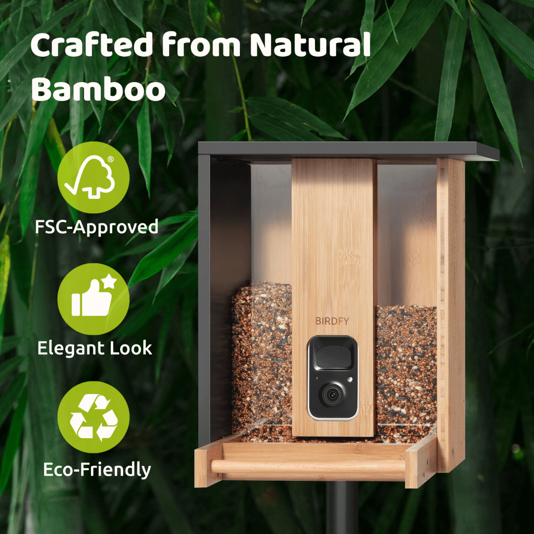 Birdfy Feeder Bamboo - Smart Bird Feeder with Eco-friendly Material