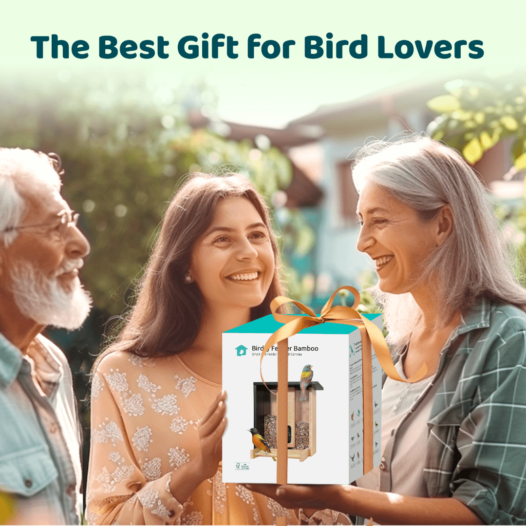 Birdfy Feeder Bamboo - Smart Bird Feeder with Eco-friendly Material