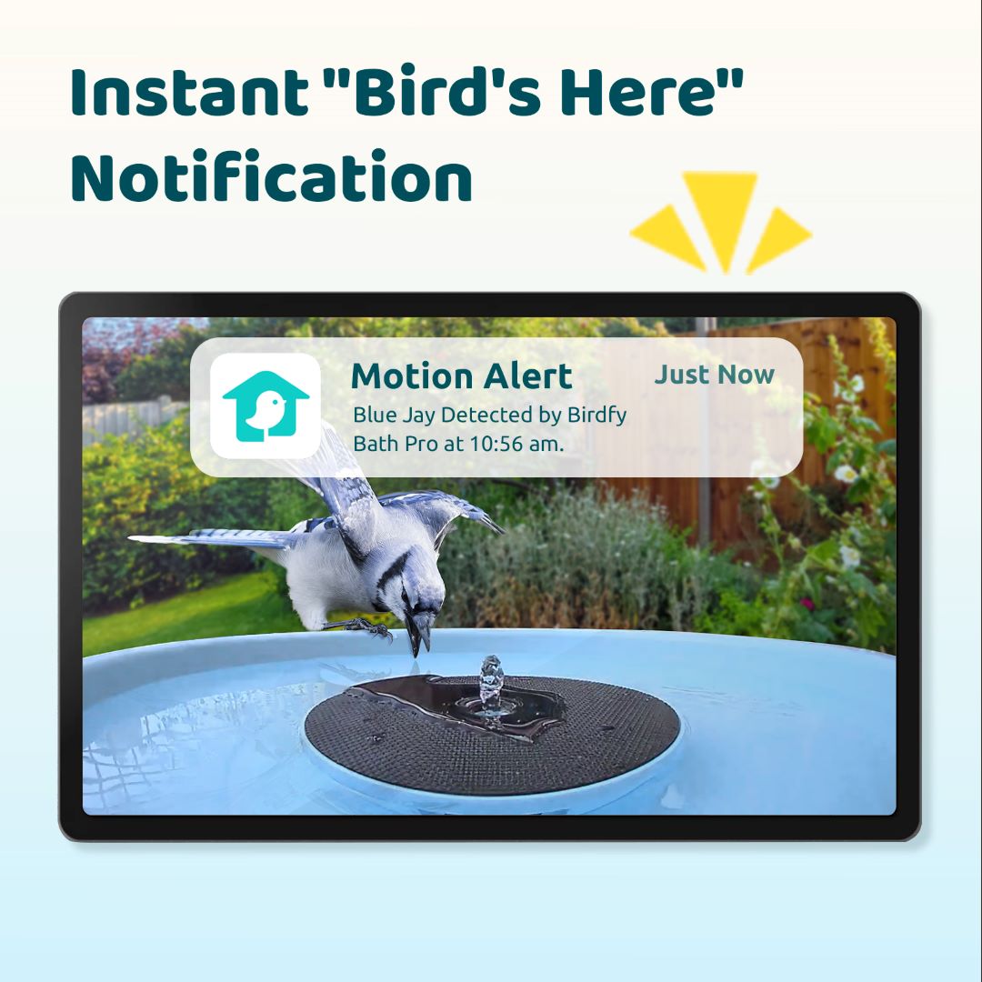 Birdfy Bath Pro