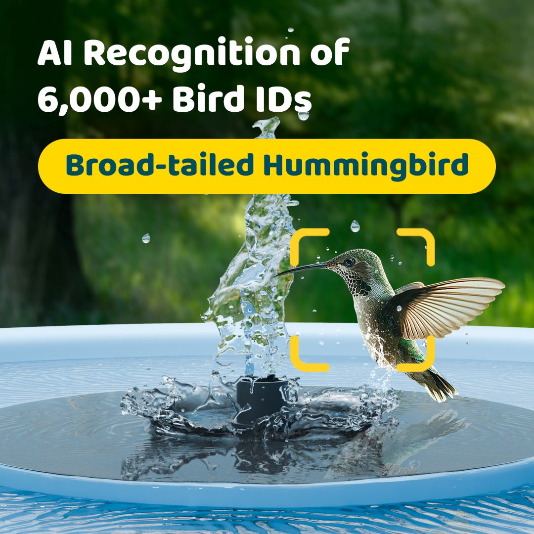 Birdfy Bath Pro