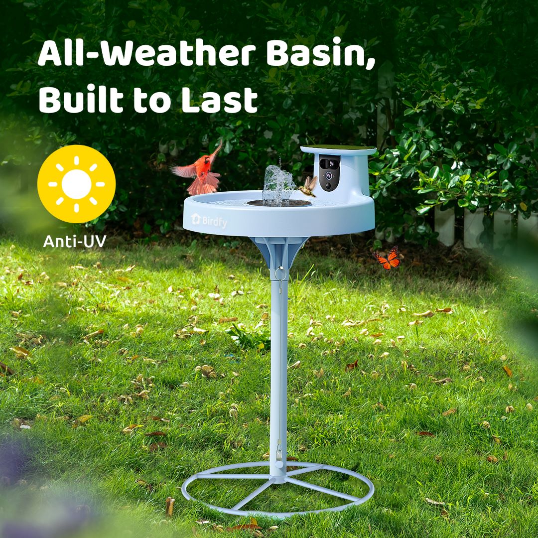 Birdfy Bath Pro