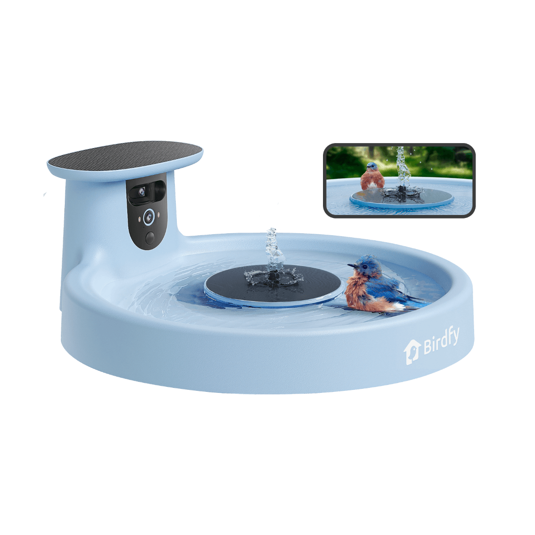 Birdfy Bath Pro