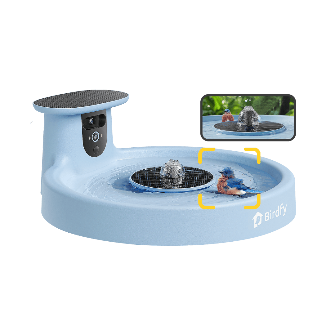 Birdfy Bath Pro