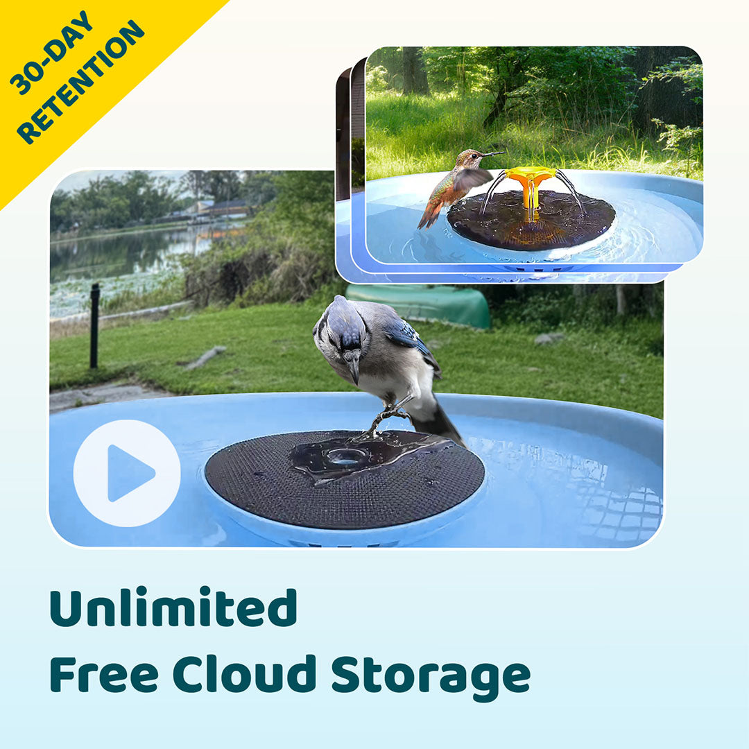 Birdfy Bath Pro