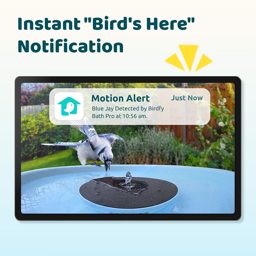 Birdfy Bath Pro