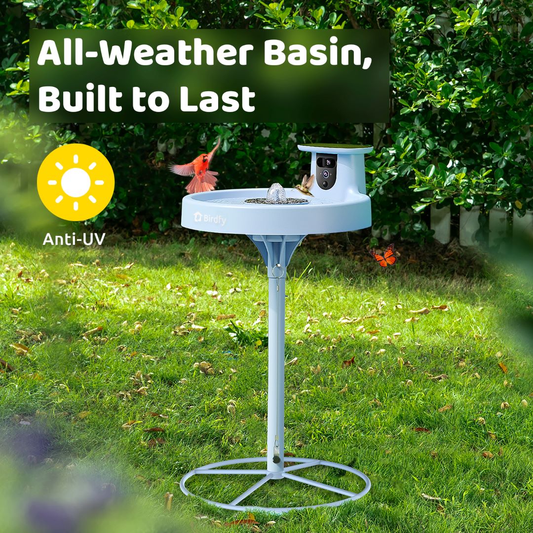 Birdfy Bath Pro