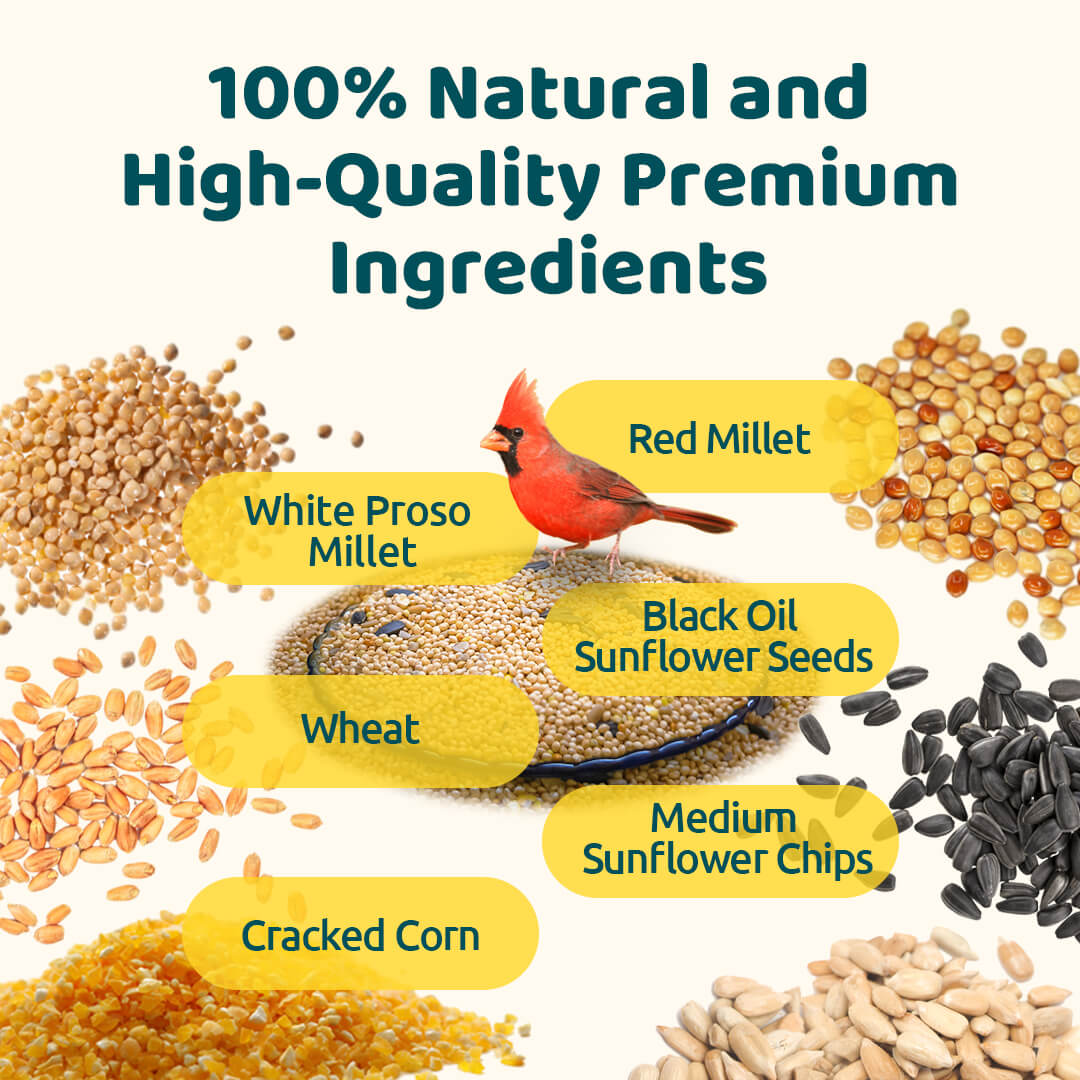 Birdfy Premium Wild Bird Seed (5lb)