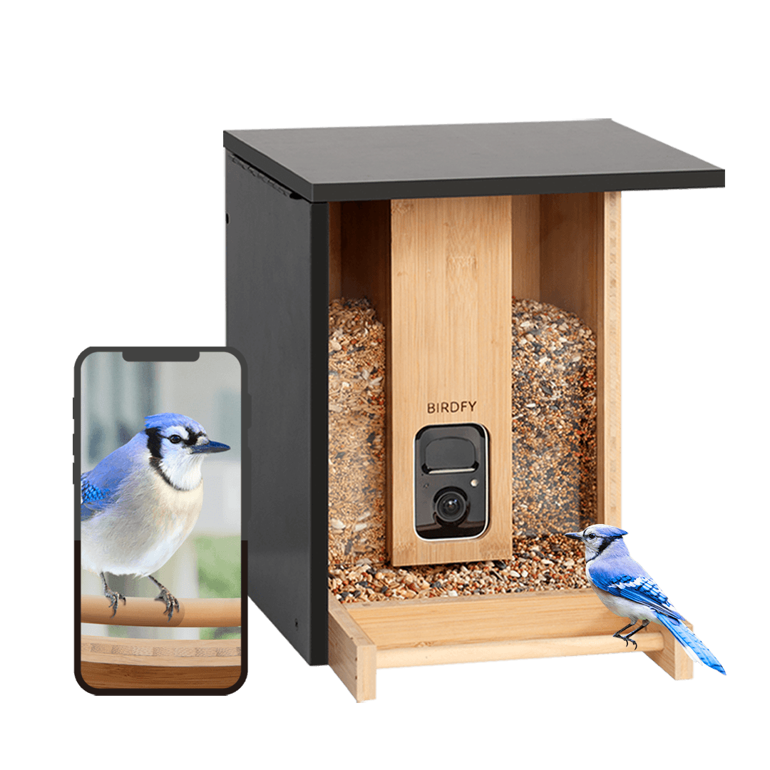 Birdfy Feeder Bamboo - Premium Choice for Eco-Birding