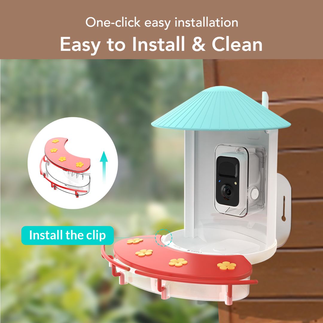 Birdfy Feeder 1 with Hummee Set