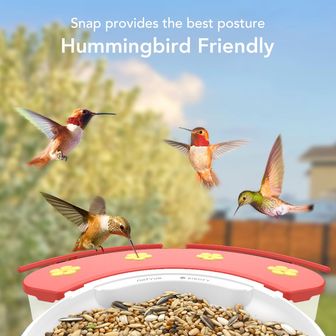 Birdfy Hummee Extension -  Hummingbird Feeder Extension