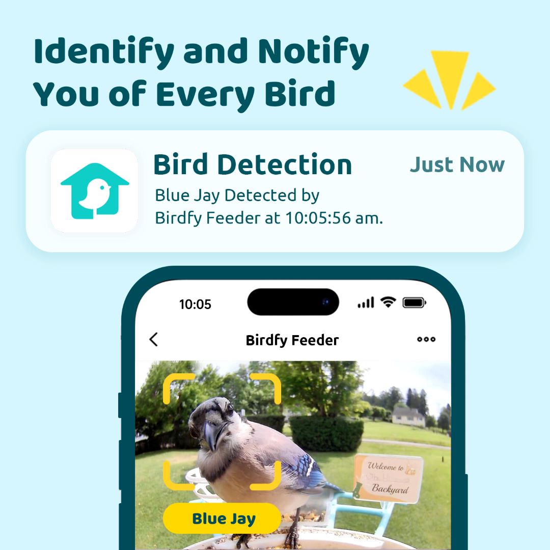 Birdfy Feeder 1 - The Perfect Gift for All