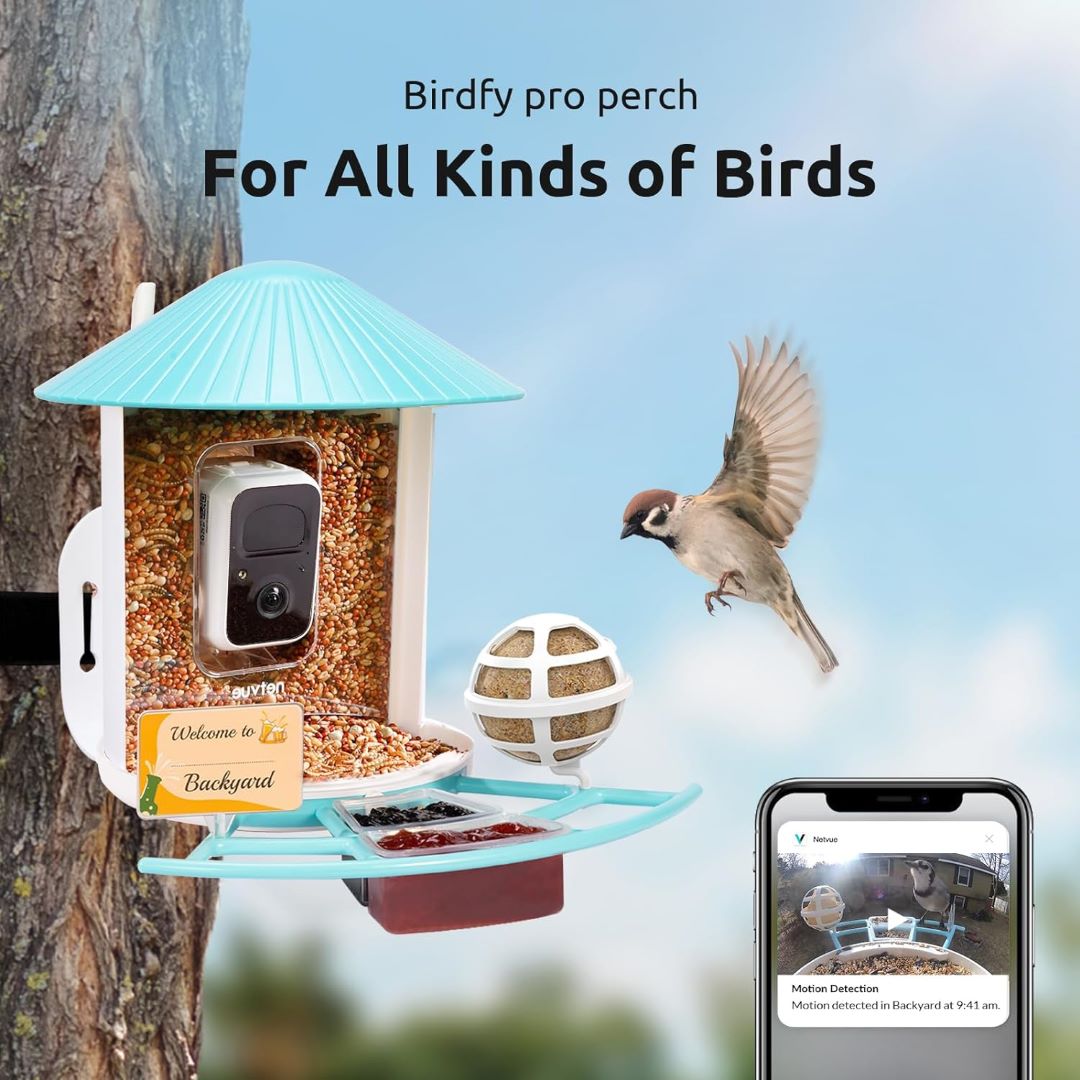 Birdfy Feeder 1 with Perch Pro Set