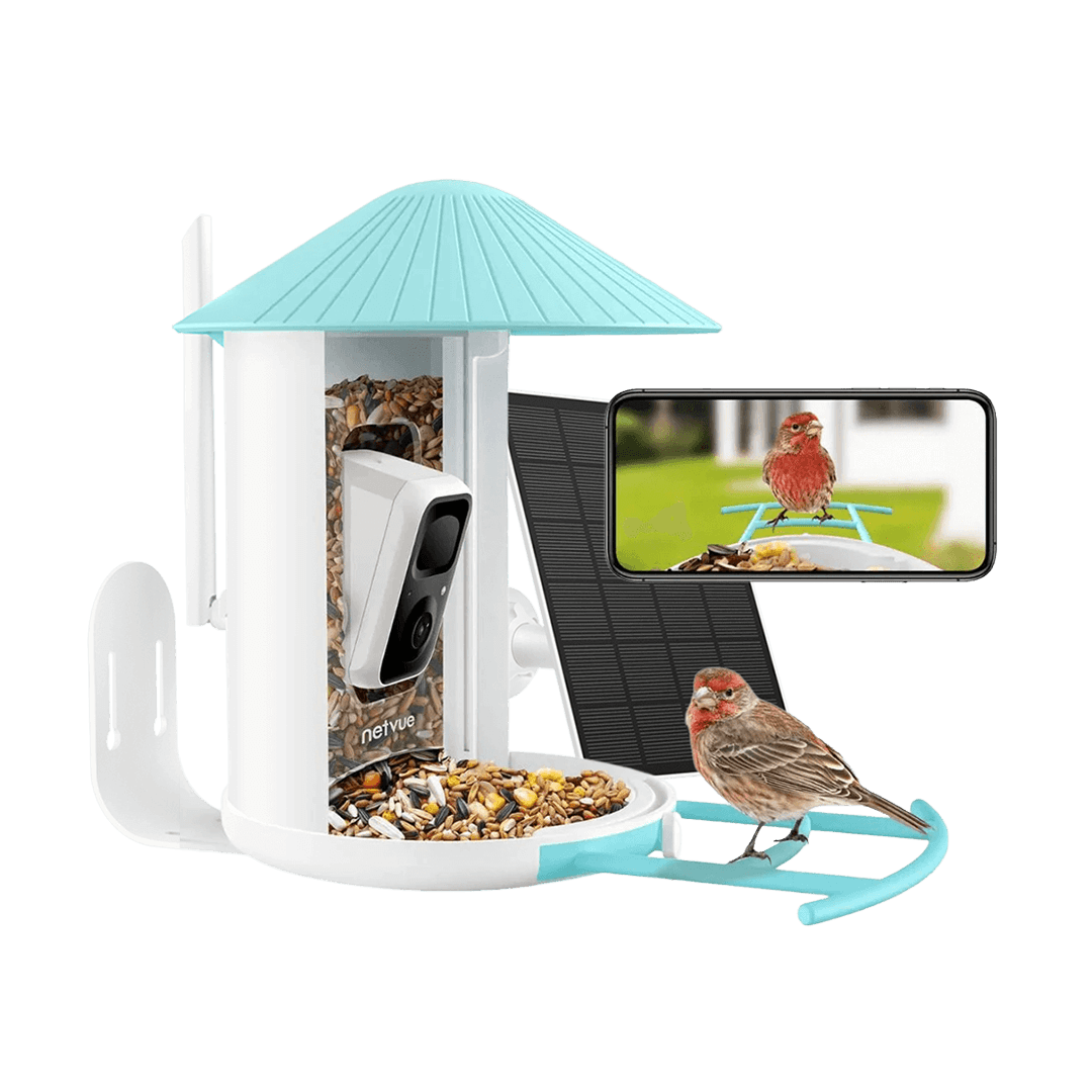 Birdfy Feeder 1 with Solar Panel