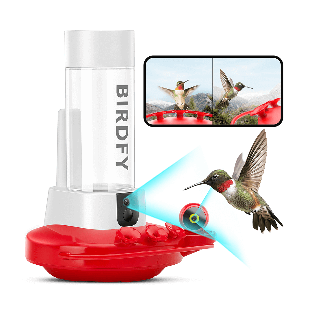 Birdfy Hum Feeder Duo - Hummingbird Feeder with Dual Camera