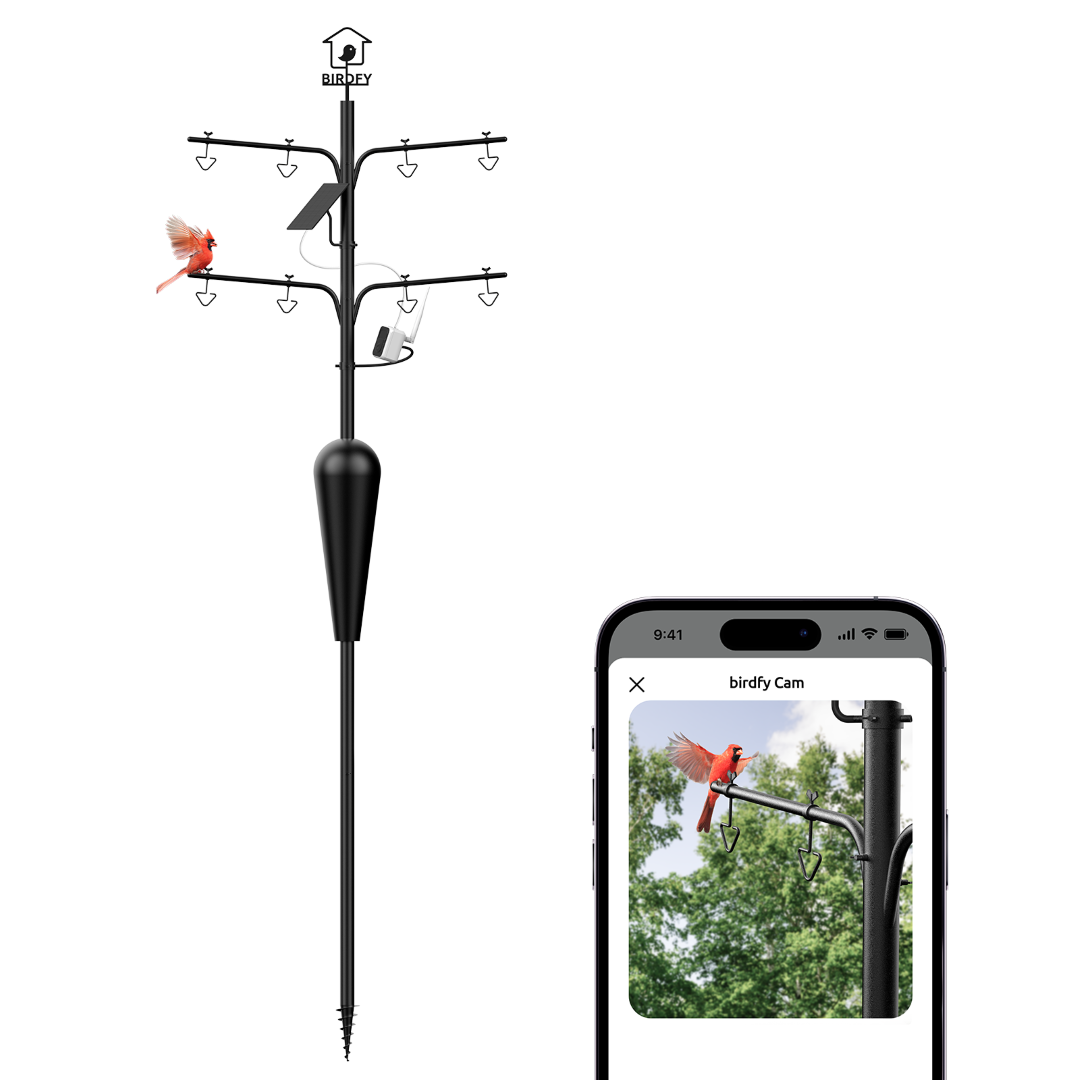 Birdfy Pole - Build Your Birdwatch Station