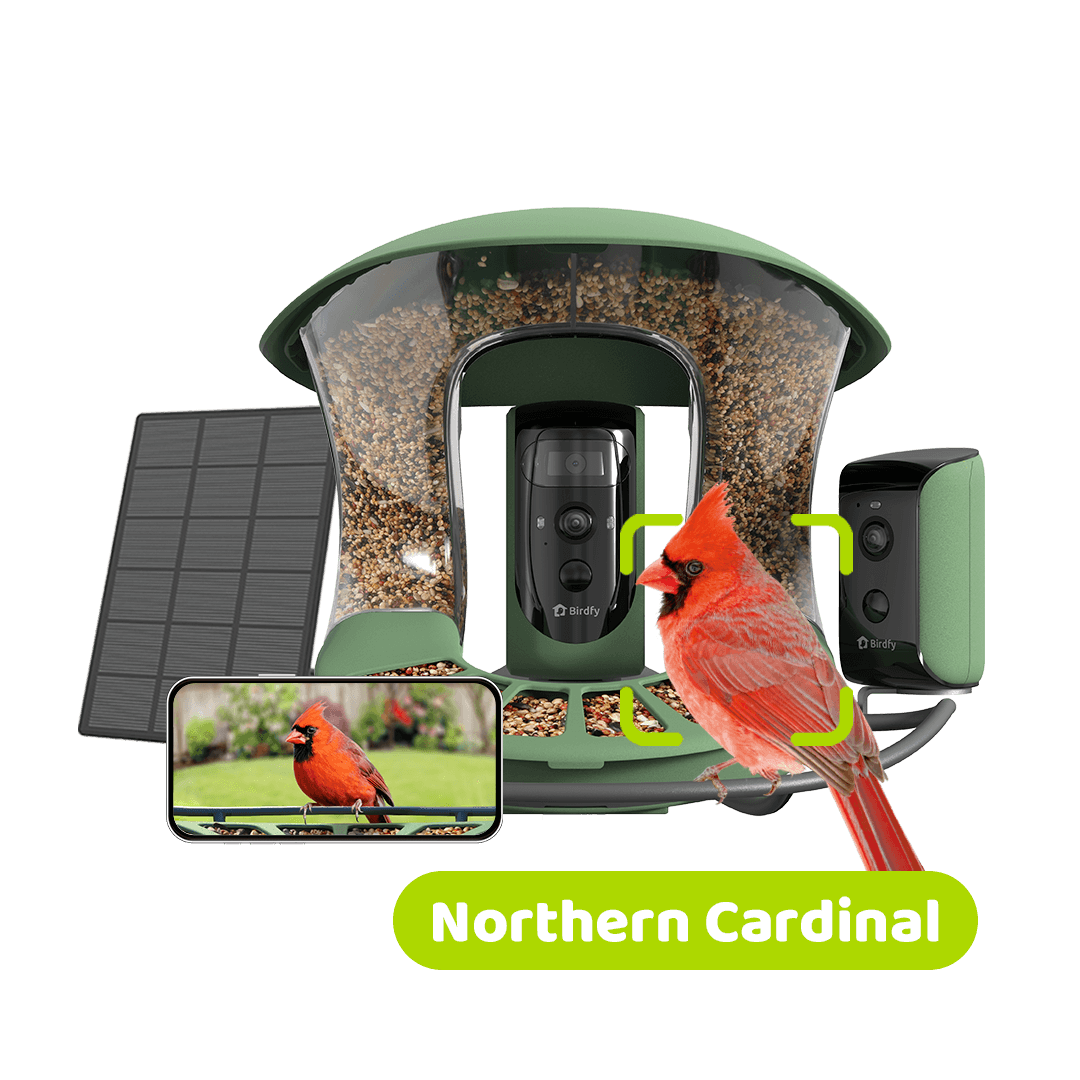 [Preorder] Birdfy Feeder 2 Duo - Ultimate Birdwatching View with 2 Angles