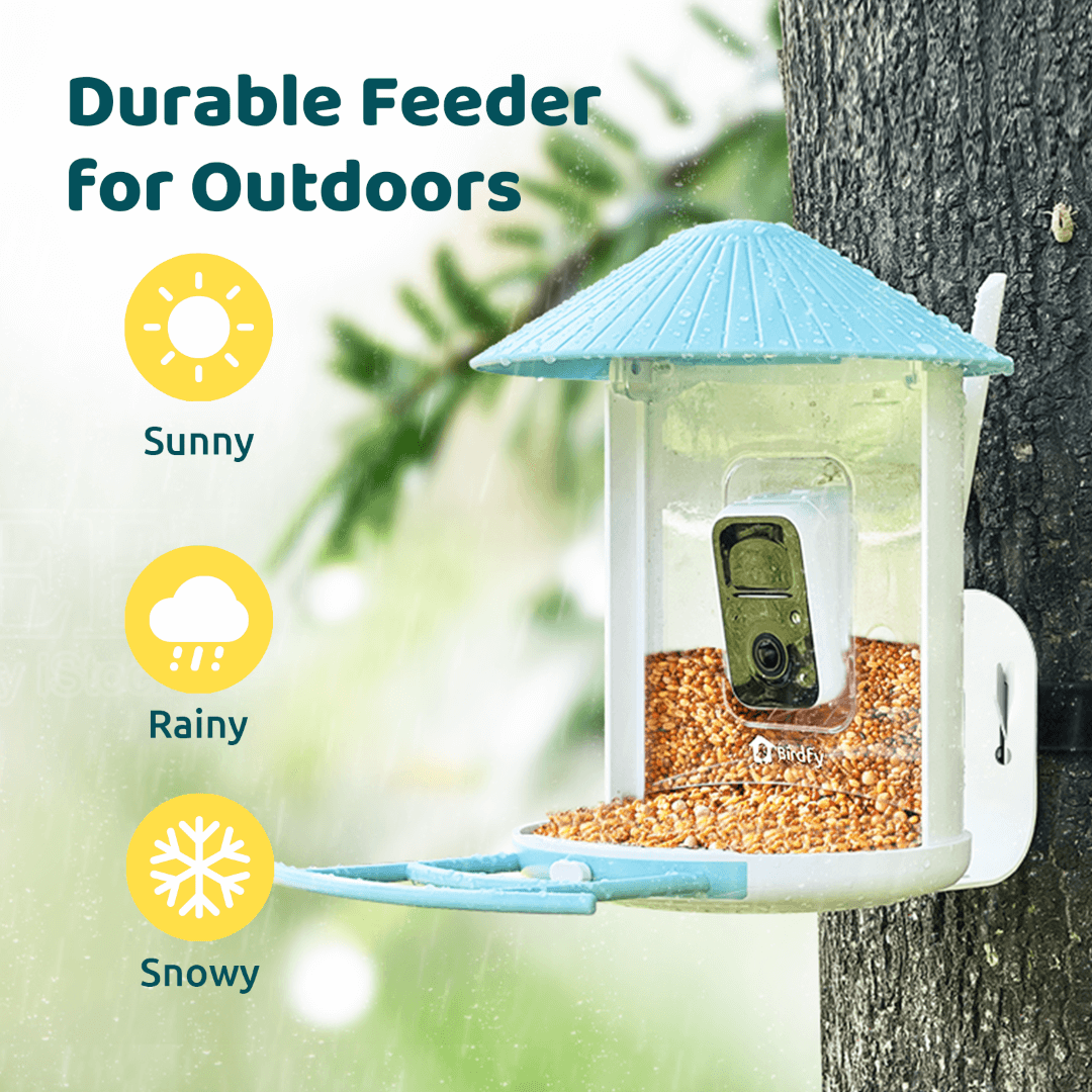 Birdfy Feeder with Solar Panel - Solar Powered Bird Feeder Camera