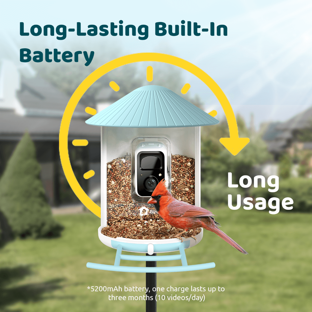 Birdfy Feeder with Solar Panel - Solar Powered Bird Feeder Camera