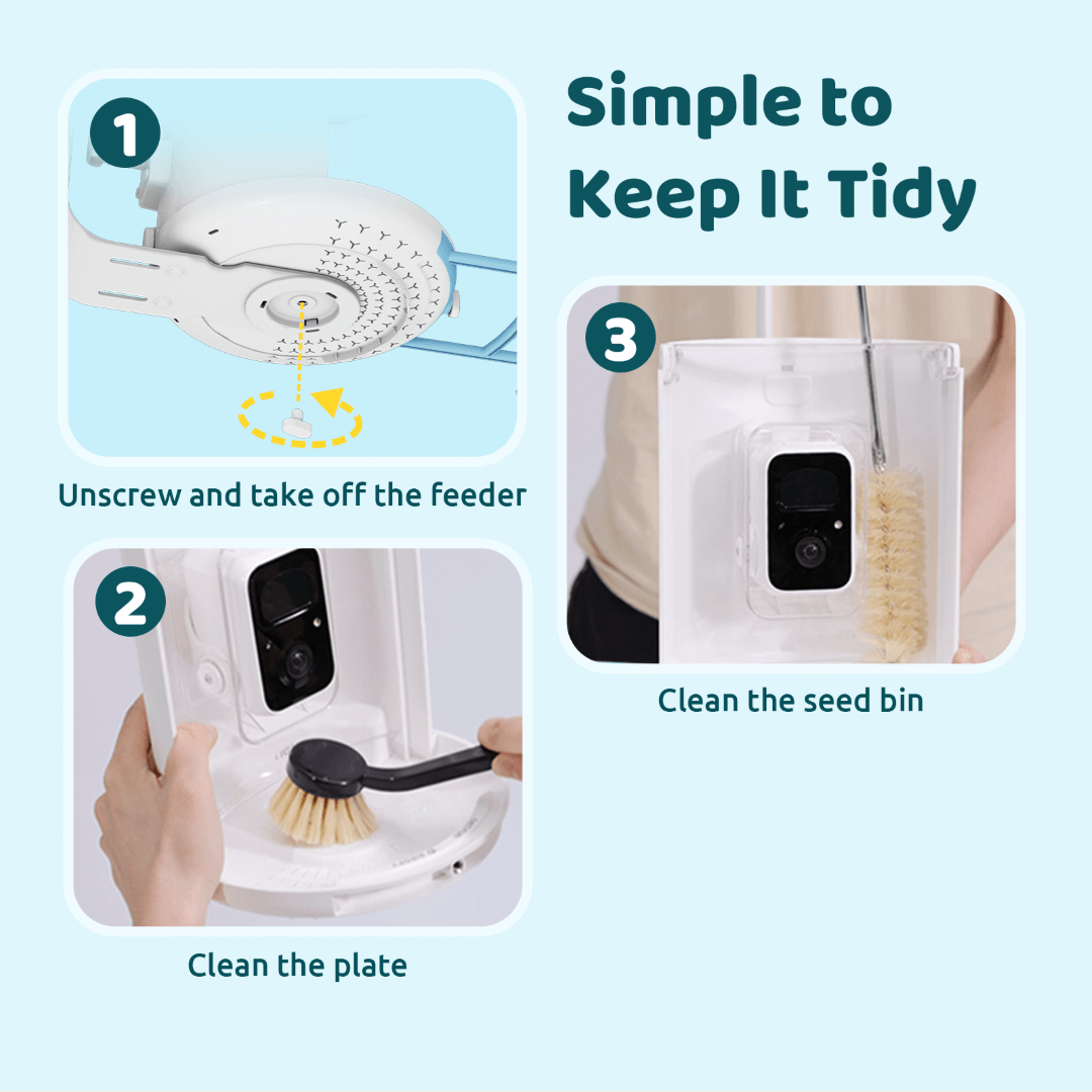 Birdfy Feeder with Solar Panel - Solar Powered Bird Feeder Camera