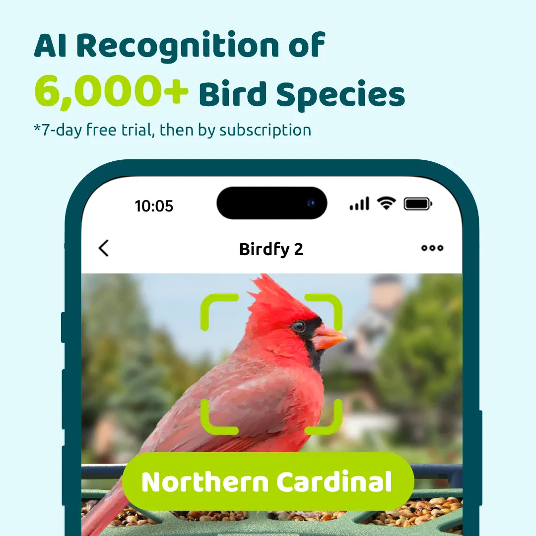 [Preorder] Birdfy Feeder 2 - Smart Bird Feeder